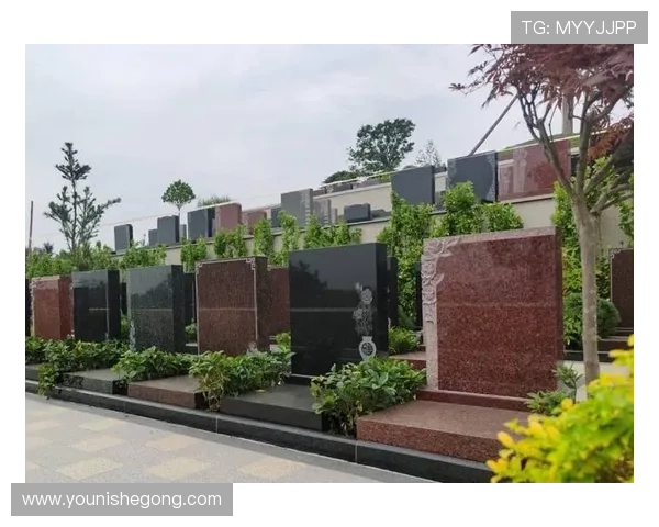 开云体育开户指南,详解注册步骤与常见问题解答 开云体育开户指南,详解注册步骤与常见问题解答