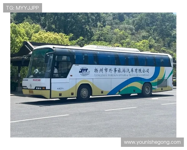 亚星官方yaxin111：详细解析亚星品牌的官方平台功能与用户体验