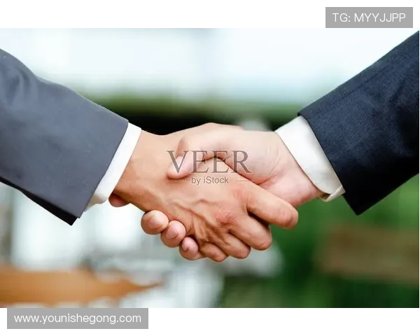 亚星官方网为合作伙伴提供专业的合作流程与商务合作指南