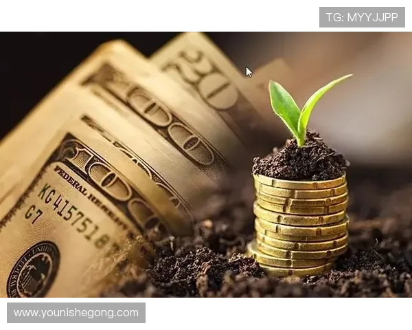 亚星平台怎么样：平台提供的产品种类与投资选择分析