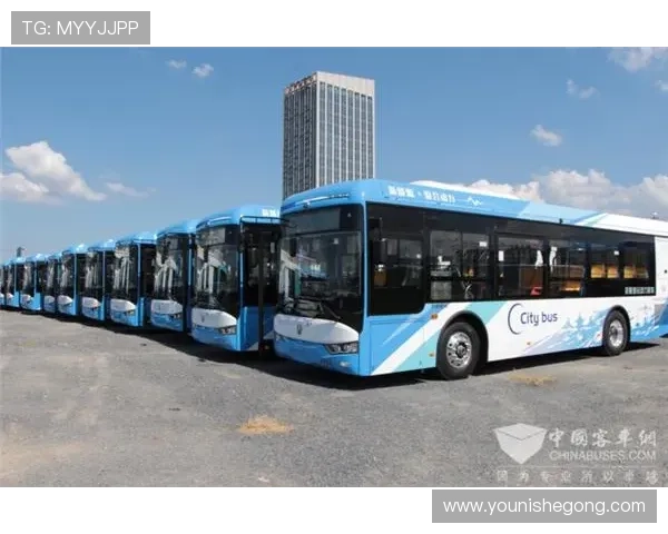 亚星手机官网提供最全的产品型号和购买指南解析