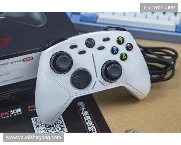 亚星游戏端入口操作流程详解，帮助新手玩家快速上手畅享游戏乐趣