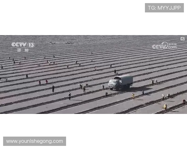 亚星st50钢排钉规格型号大全,助力建筑与木工行业实现高效连接解决方案 亚星st50钢排钉规格型号大全,助力建筑与木工行业实现高效连接解决方案