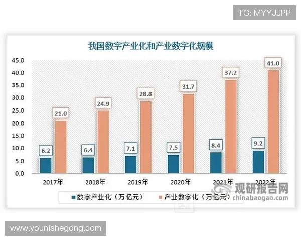 亚星平台公司所属地区及其在行业中的竞争优势和未来发展方向