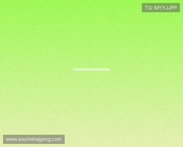 亚星锚链股吧：深入解读公司财务状况与未来发展潜力